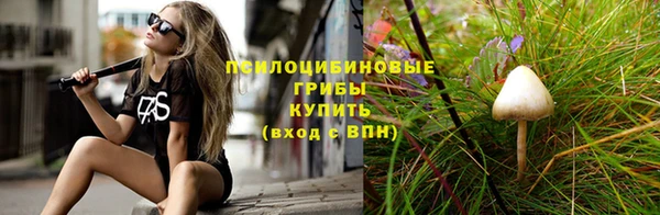 винт Алзамай