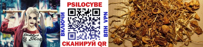 Галлюциногенные грибы Psilocybine cubensis  Игра 